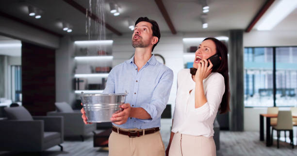 Best 24/7 water damage repair  in USA